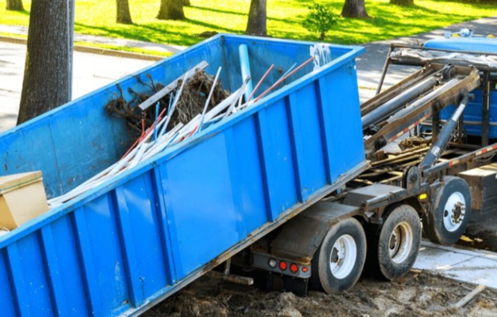 shutterstock 2780162637 clean