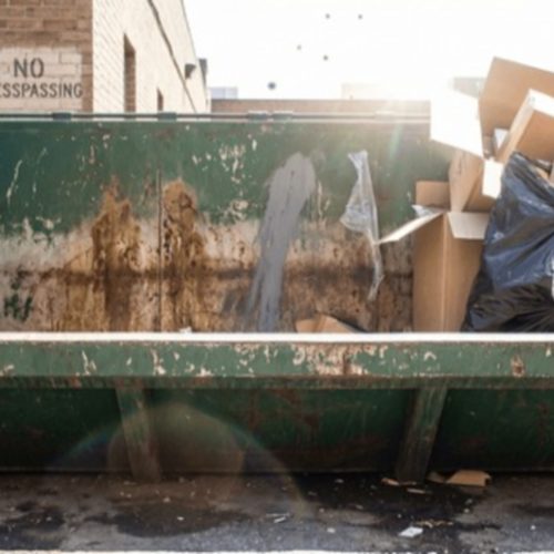 shutterstock 2722058333 clean